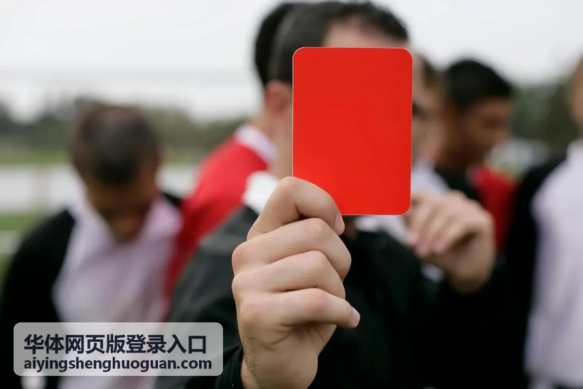 华体网页版登录入口帮助入口预览
